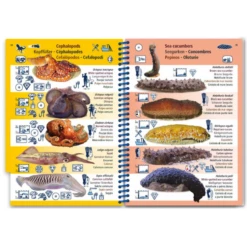 PICTOLIFE Guide Marine -Plastimo Magasin pictolife guide marine 2