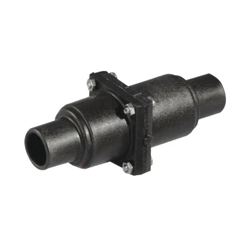 WHALE Clapet Anti-retour 25 / 38 Mm Eaux Chargées 3 WHALE Clapet Anti-retour 25 / 38 Mm Eaux Chargées